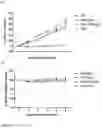 Fig. 08 - Calcium peroxides nanoparticles as adjuvant therapy