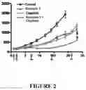 Fig. 08 - Combination Therapy for Treating Proliferative Diseases