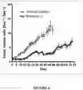 Fig. 12 - Combination Therapy for Treating Proliferative Diseases