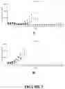 Fig. 13 - Combination Therapy for Treating Proliferative Diseases