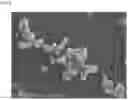 Fig. 06 - Pharmaceutical preparation and medical device