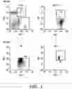Fig. 02 - METHODS AND COMPOSITIONS OF TREATING AUTOIMMUNE DISEASES