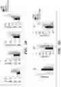 Fig. 07 - METHODS AND COMPOSITIONS OF TREATING AUTOIMMUNE DISEASES