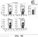 Fig. 08 - METHODS AND COMPOSITIONS OF TREATING AUTOIMMUNE DISEASES