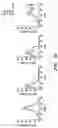 Fig. 09 - METHODS AND COMPOSITIONS OF TREATING AUTOIMMUNE DISEASES