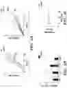 Fig. 10 - METHODS AND COMPOSITIONS OF TREATING AUTOIMMUNE DISEASES
