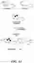 Fig. 13 - METHODS AND COMPOSITIONS OF TREATING AUTOIMMUNE DISEASES