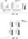 Fig. 22 - METHODS AND COMPOSITIONS OF TREATING AUTOIMMUNE DISEASES