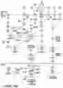 Fig. 23 - METHODS AND COMPOSITIONS OF TREATING AUTOIMMUNE DISEASES