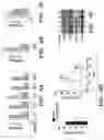 Fig. 27 - METHODS AND COMPOSITIONS OF TREATING AUTOIMMUNE DISEASES