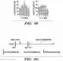 Fig. 28 - METHODS AND COMPOSITIONS OF TREATING AUTOIMMUNE DISEASES