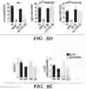 Fig. 31 - METHODS AND COMPOSITIONS OF TREATING AUTOIMMUNE DISEASES