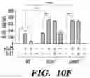 Fig. 34 - METHODS AND COMPOSITIONS OF TREATING AUTOIMMUNE DISEASES