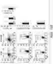 Fig. 36 - METHODS AND COMPOSITIONS OF TREATING AUTOIMMUNE DISEASES