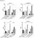 Fig. 18 - FLT3L-based chimeric proteins
