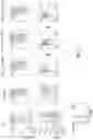 Fig. 03 - Enhanced immune effector cells and use thereof