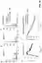Fig. 11 - Enhanced immune effector cells and use thereof