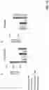 Fig. 14 - Enhanced immune effector cells and use thereof