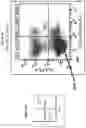 Fig. 07 - Targeted disruption of the MHC cell receptor
