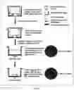 Fig. 22 - Immunocompatible amniotic membrane products
