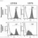 Fig. 07 - ROR1-POSITIVE MESENCHYMAL STEM CELL-CONTAINING PHARMACEUTICAL COMPOSITION FOR PREVENTING OR TREATING DISEASE ASSOCIATED WITH FIBROSIS, METHOD FOR PREPARING SAME, AND METHOD FOR PREVENTING OR TREATING DISEASE ASSOCIATED WITH FIBROSIS USING ROR1-POSITIVE MESENCHYMAL STEM CELLS