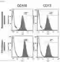 Fig. 08 - ROR1-POSITIVE MESENCHYMAL STEM CELL-CONTAINING PHARMACEUTICAL COMPOSITION FOR PREVENTING OR TREATING DISEASE ASSOCIATED WITH FIBROSIS, METHOD FOR PREPARING SAME, AND METHOD FOR PREVENTING OR TREATING DISEASE ASSOCIATED WITH FIBROSIS USING ROR1-POSITIVE MESENCHYMAL STEM CELLS