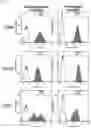 Fig. 09 - ROR1-POSITIVE MESENCHYMAL STEM CELL-CONTAINING PHARMACEUTICAL COMPOSITION FOR PREVENTING OR TREATING DISEASE ASSOCIATED WITH FIBROSIS, METHOD FOR PREPARING SAME, AND METHOD FOR PREVENTING OR TREATING DISEASE ASSOCIATED WITH FIBROSIS USING ROR1-POSITIVE MESENCHYMAL STEM CELLS