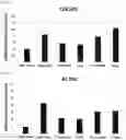 Fig. 19 - ROR1-POSITIVE MESENCHYMAL STEM CELL-CONTAINING PHARMACEUTICAL COMPOSITION FOR PREVENTING OR TREATING DISEASE ASSOCIATED WITH FIBROSIS, METHOD FOR PREPARING SAME, AND METHOD FOR PREVENTING OR TREATING DISEASE ASSOCIATED WITH FIBROSIS USING ROR1-POSITIVE MESENCHYMAL STEM CELLS