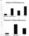 Fig. 20 - ROR1-POSITIVE MESENCHYMAL STEM CELL-CONTAINING PHARMACEUTICAL COMPOSITION FOR PREVENTING OR TREATING DISEASE ASSOCIATED WITH FIBROSIS, METHOD FOR PREPARING SAME, AND METHOD FOR PREVENTING OR TREATING DISEASE ASSOCIATED WITH FIBROSIS USING ROR1-POSITIVE MESENCHYMAL STEM CELLS