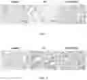Fig. 03 - Method of ameliorating chronic obstructive pulmonary disease using 