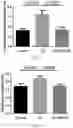 Fig. 05 - Method of ameliorating chronic obstructive pulmonary disease using 