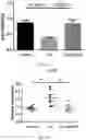 Fig. 06 - Method of ameliorating chronic obstructive pulmonary disease using 