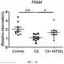 Fig. 11 - Method of ameliorating chronic obstructive pulmonary disease using 