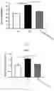Fig. 04 - Method of ameliorating chronic kidney disease using 