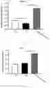 Fig. 06 - Method of ameliorating chronic kidney disease using 
