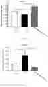 Fig. 07 - Method of ameliorating chronic kidney disease using 