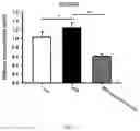 Fig. 08 - Method of ameliorating chronic kidney disease using 