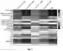 Fig. 04 - Probiotics strains