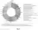 Fig. 05 - Probiotics strains
