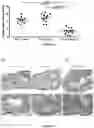 Fig. 13 - Probiotic compositions and uses thereof