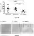 Fig. 17 - Probiotic compositions and uses thereof