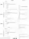 Fig. 06 - Dengue vaccine unit dose and administration thereof