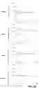 Fig. 07 - Dengue vaccine unit dose and administration thereof