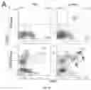 Fig. 03 - Cancer immunotherapy using virus particles