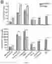 Fig. 04 - Cancer immunotherapy using virus particles
