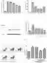 Fig. 05 - Low toxic tripterygium neoglycosides, preparation method and application thereof