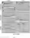 Fig. 07 - Collagen hydrolysates as a beneficial prebiotic and their effect on joint inflammation and osteoarthritis