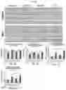 Fig. 10 - Collagen hydrolysates as a beneficial prebiotic and their effect on joint inflammation and osteoarthritis