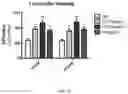 Fig. 17 - Collagen hydrolysates as a beneficial prebiotic and their effect on joint inflammation and osteoarthritis