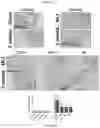 Fig. 18 - Collagen hydrolysates as a beneficial prebiotic and their effect on joint inflammation and osteoarthritis